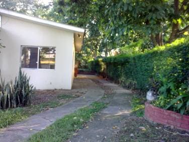 Alquilar Casa San Pedro Sula Col. Rio Piedras