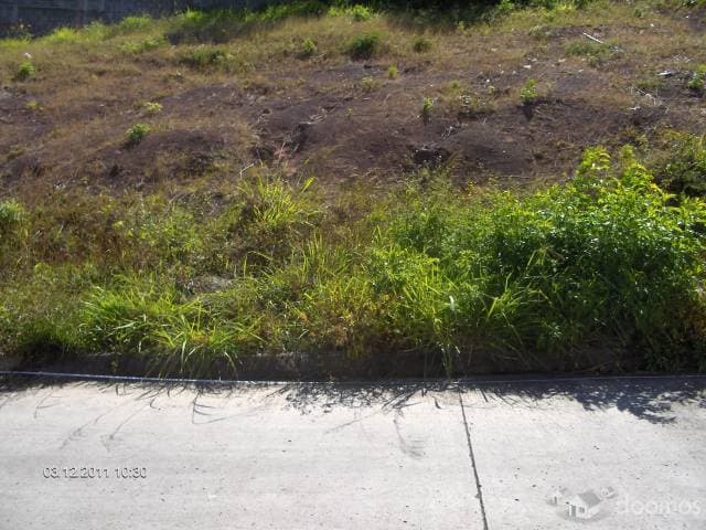 SE VENDE LOTE DE TERRENO EN RES. EL MOLINON — foto 2