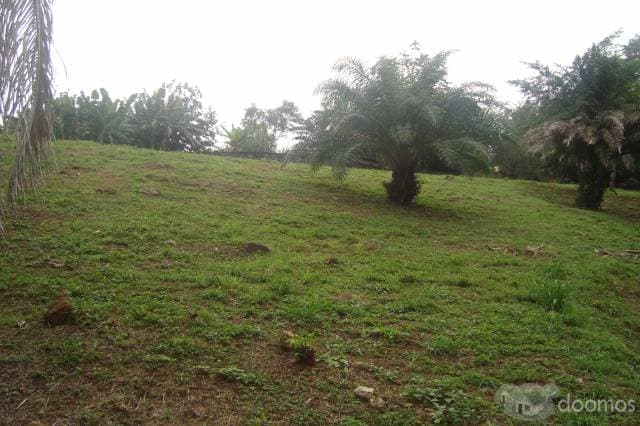 Casa Aldea Corozal — foto 4
