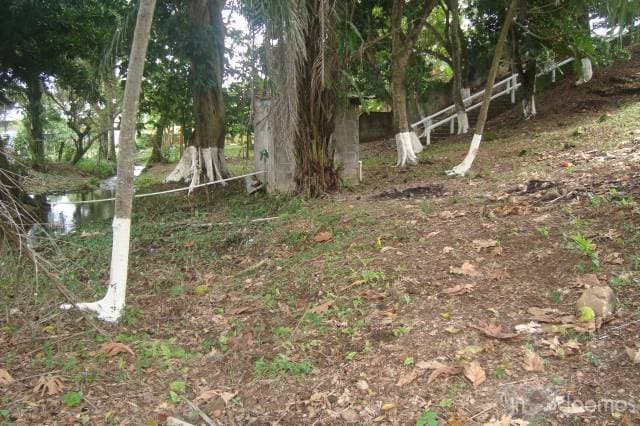 Casa Aldea Corozal — foto 5