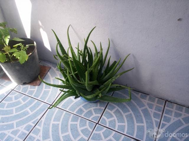 VENTA  CASA — foto 2