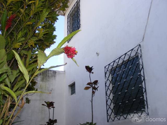 Ganga de 2 casas en 1 por motivo de viaje — foto 2