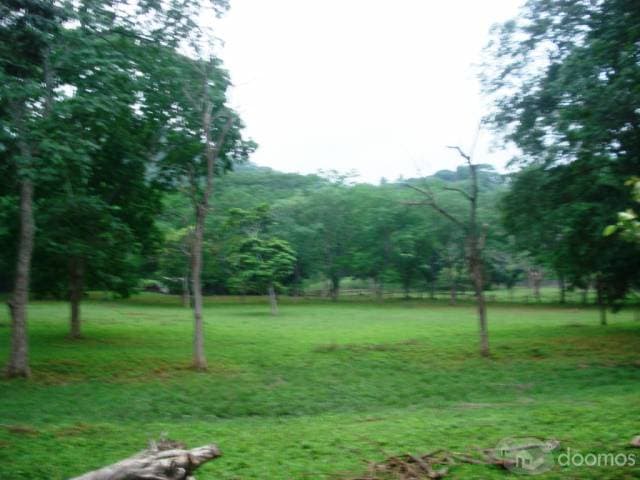 APROVECHE VENTA DE TERRENO — foto 1