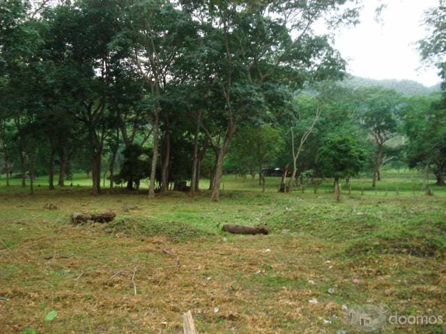 APROVECHE VENTA DE TERRENO — foto 3