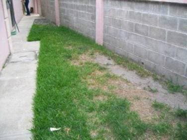 Comprar Casa San Pedro Sula Los Alamos III etapa — foto 9