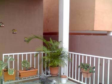 Miniatura 10